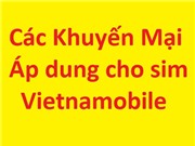 Sim Vietnamobile