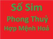 Sim hợp mệnh Hỏa