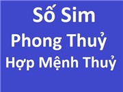 Sim hợp mệnh Thủy