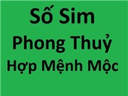 Sim hợp mệnh Mộc