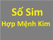 Sim hợp mệnh Kim